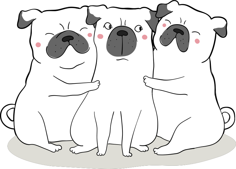 Adorable Pug Trio animal rug - TenStickers
