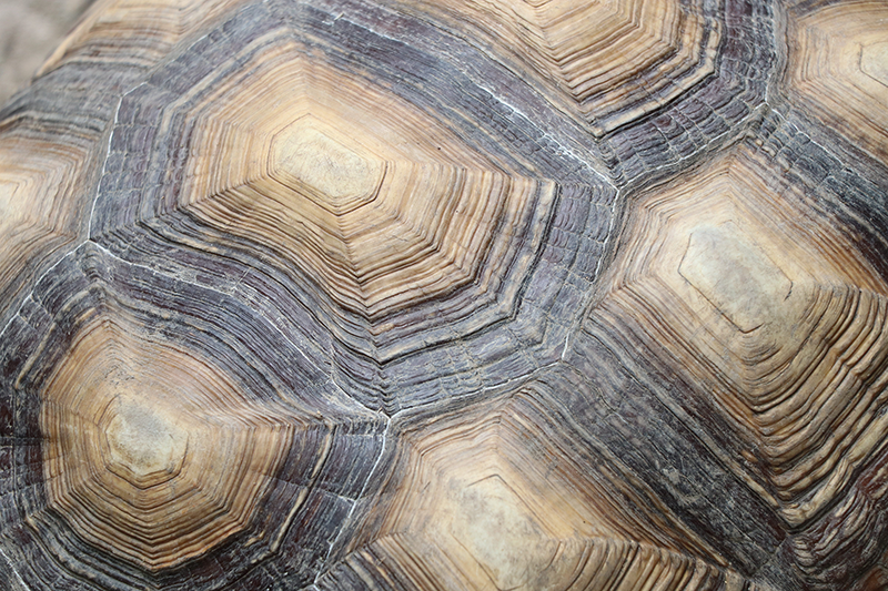 Textured Stone Agate textured vinyl rug - TenStickers