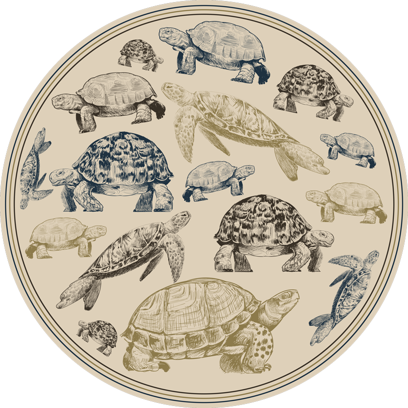 Turtle Illustrations animal vinyl rug - TenStickers