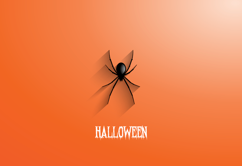 Halloween spider halloween vinyl rug - TenStickers