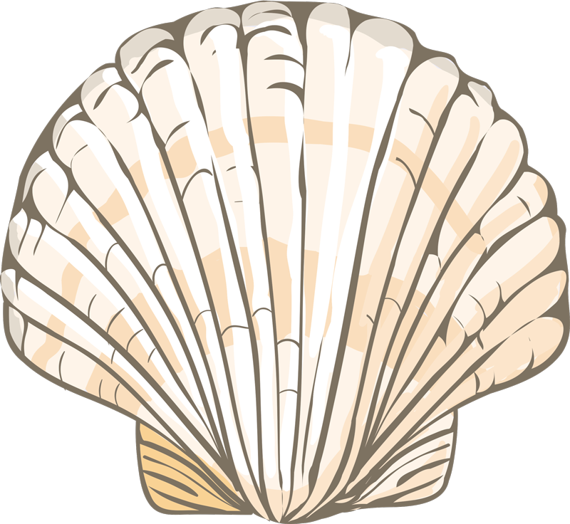Big seashell shape vinyl rug - TenStickers