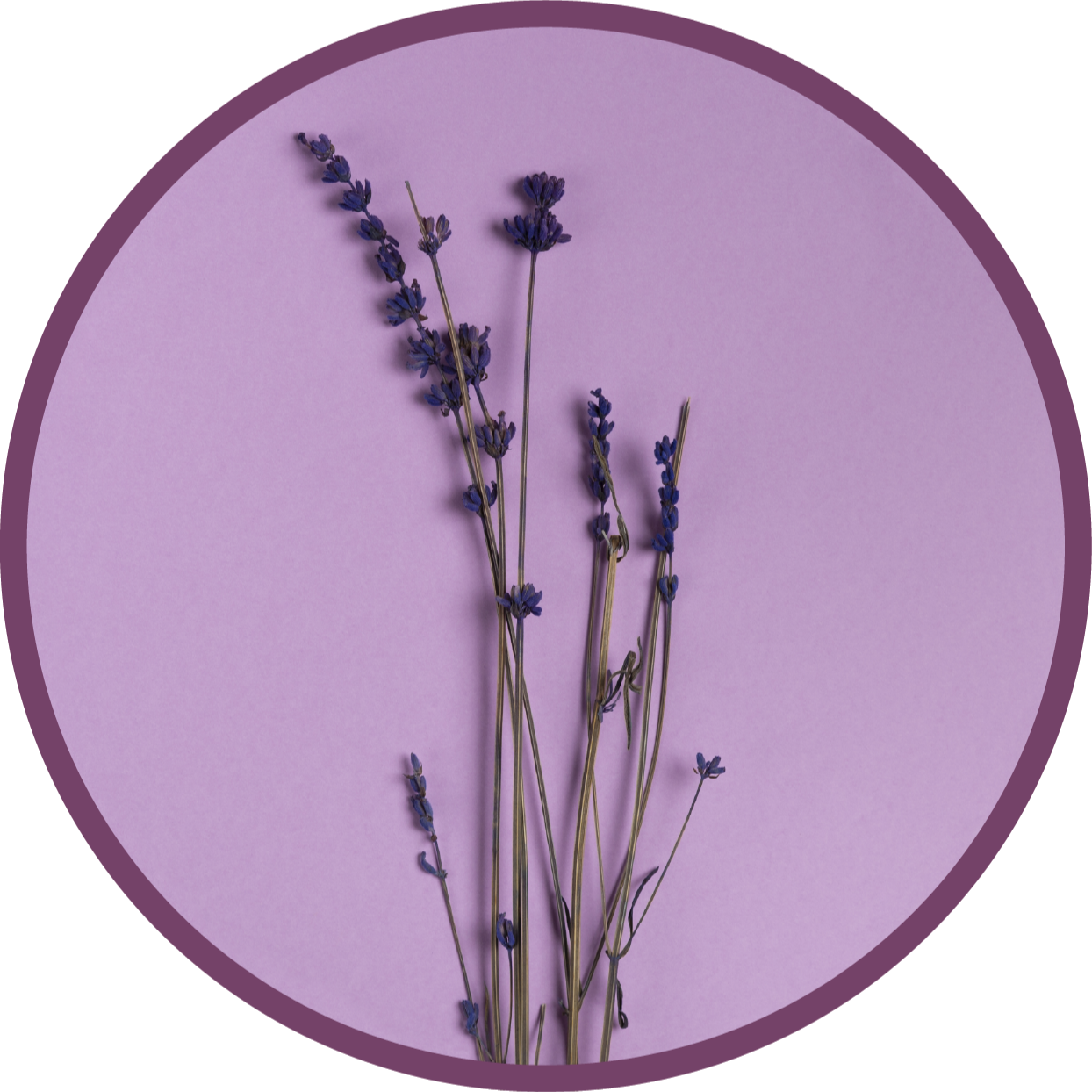 Lavender Silhouette floral vinyl rug - TenStickers