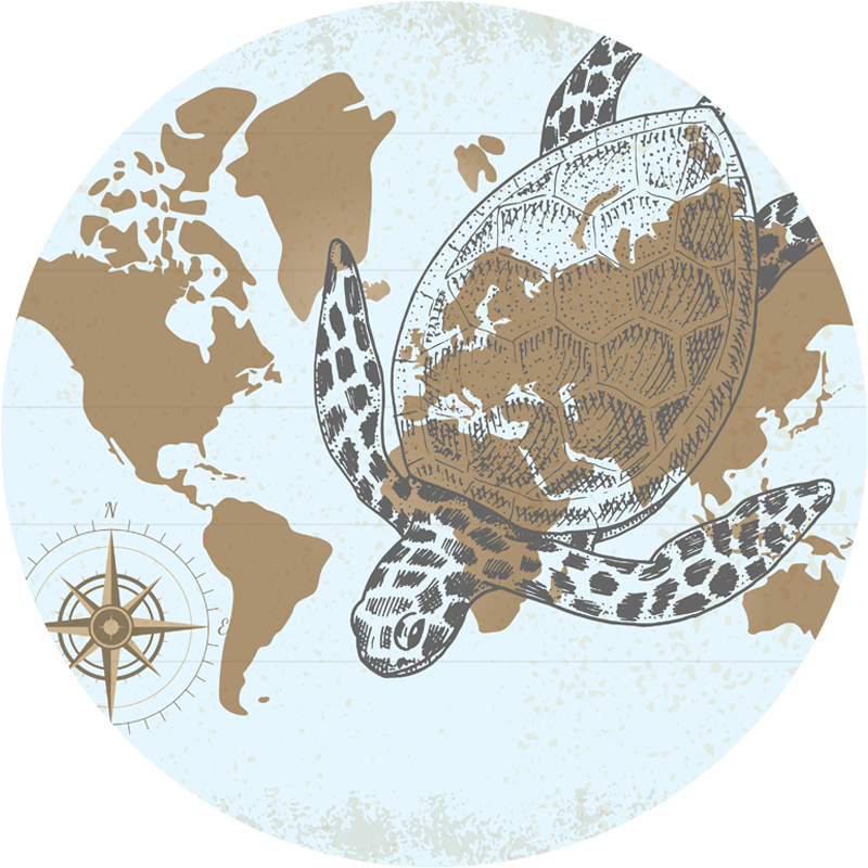 Turtle Compass Map world map vinyl rug - TenStickers