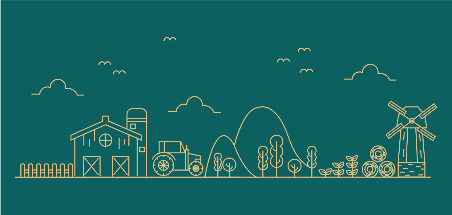 Educational farm game vinyl rug - TenStickers