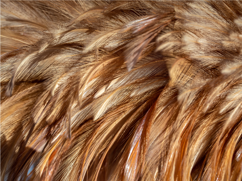 Swirling Fur animal print vinyl rug - TenStickers