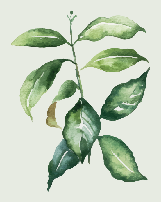 Botanical Leaf Illustration floral vinyl rug - TenStickers