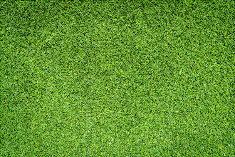 Grass Texture textured vinyl rug - TenStickers