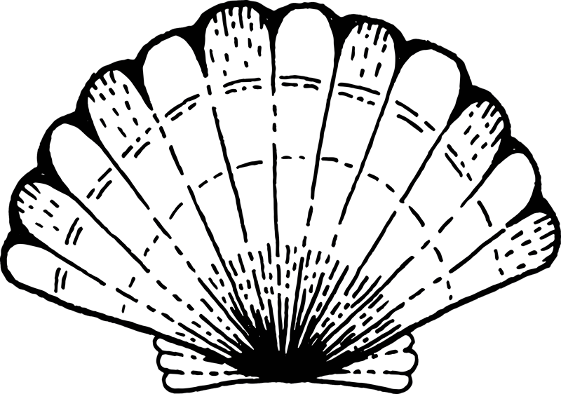 Shell patterned accent nature vinyl rug - TenStickers