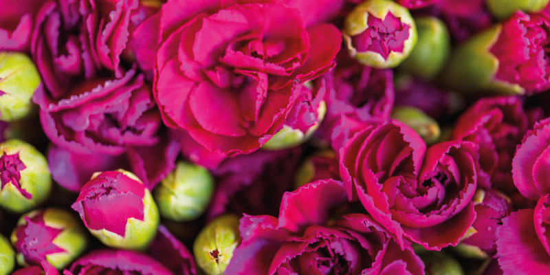 Lively Flower Blossoms floral vinyl rug - TenStickers