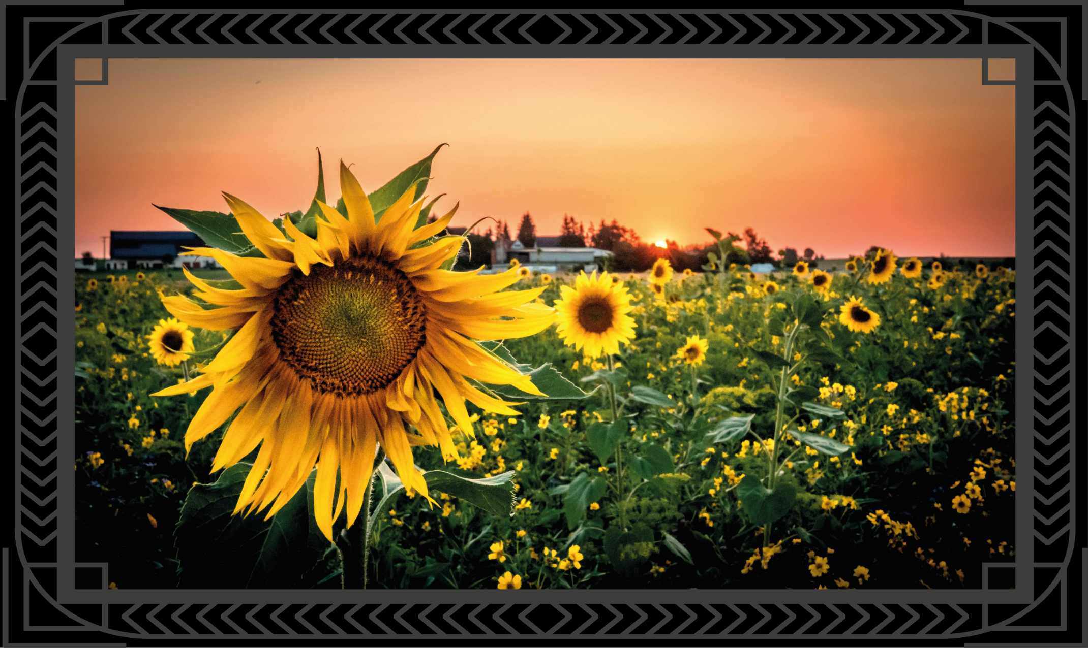 Sunflower sunset floral vinyl rug - TenStickers