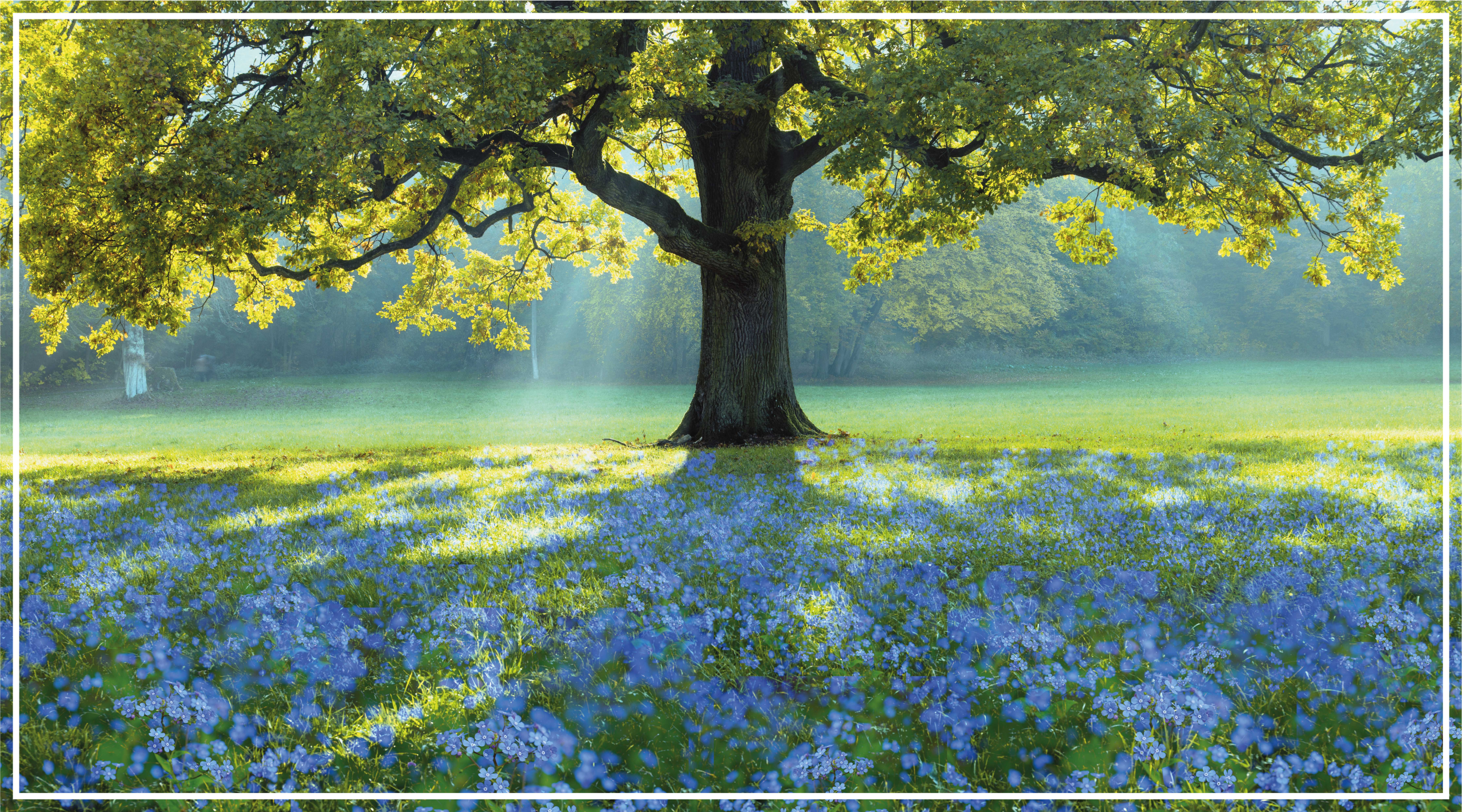 Blooming Tree Scene nature vinyl rug - TenStickers