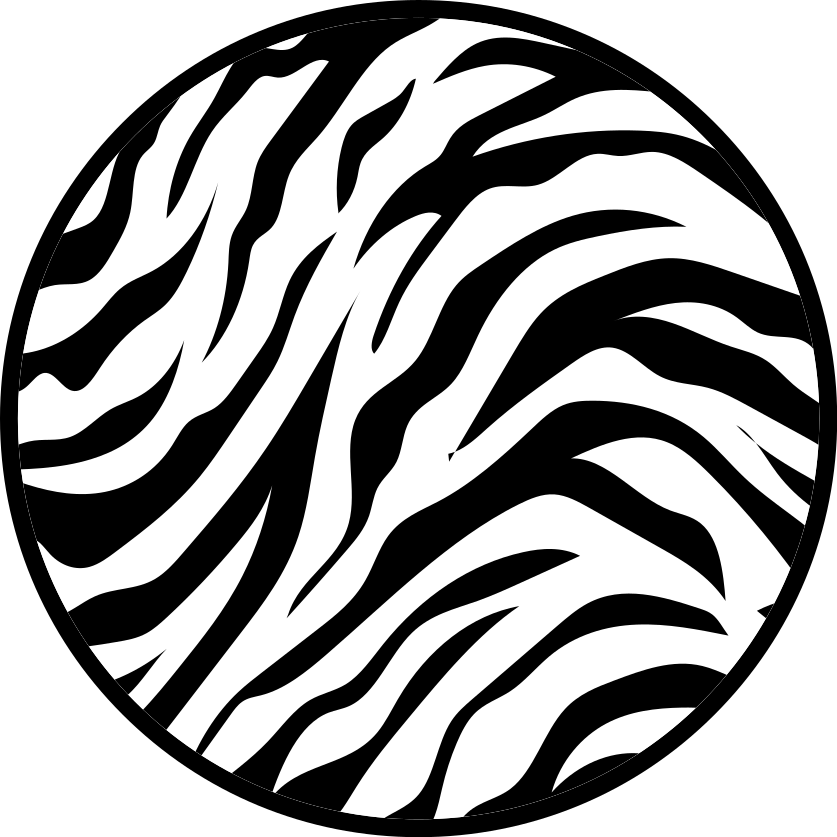 Zebra Stripe Circular Design Animal Print Carpet - TenStickers