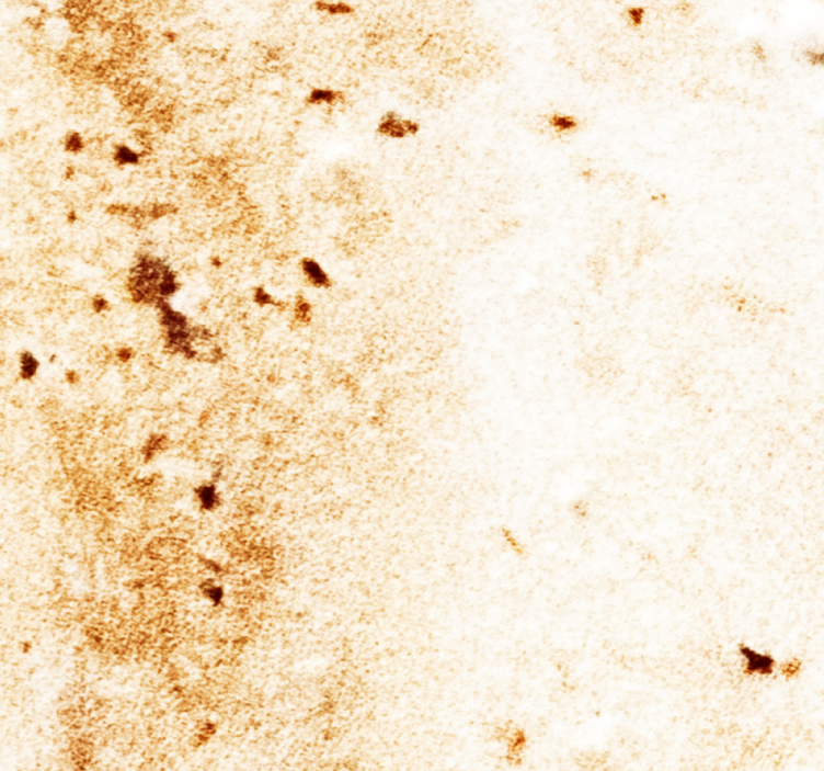 Natural Stone Aesthetics marble effect wallpaper - TenStickers